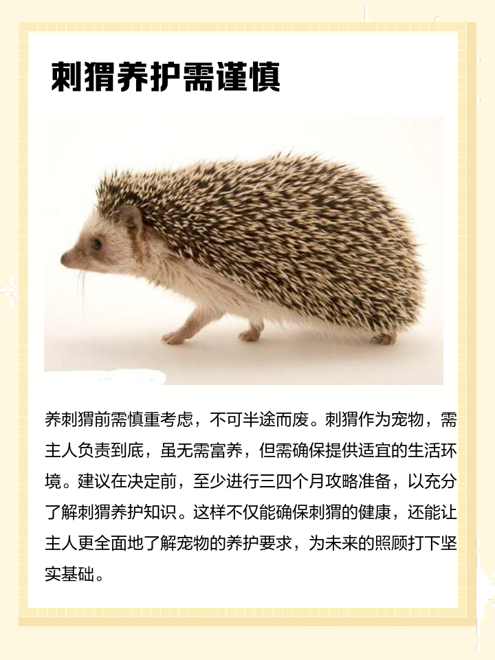 刺猬能吃不刺猬能不能吃